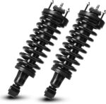 Front Complete Strut Shock Absorber Fit for Ford Crown Victoria 2003-2011, for Lincoln Town 2003-2011, for Mercury Grand Marquis 2003-2011, w/o Police Package, w/o Taxi Package, Replace 171346 2Pcs